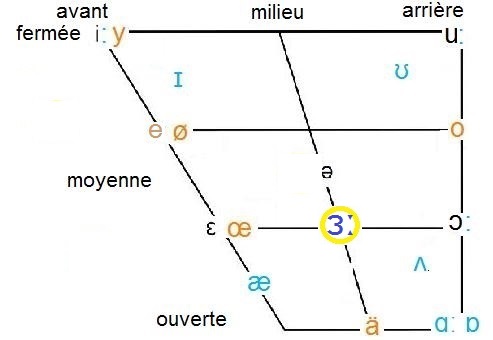 ɜː in vowel chart