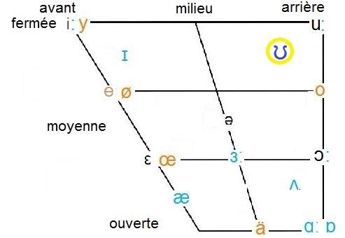 ʊ in vowel chart